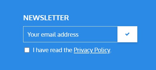 Newsletter subscription form with email address input and privacy policy agreement checkbox